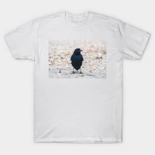 Gregarious Passerine 2 T-Shirt